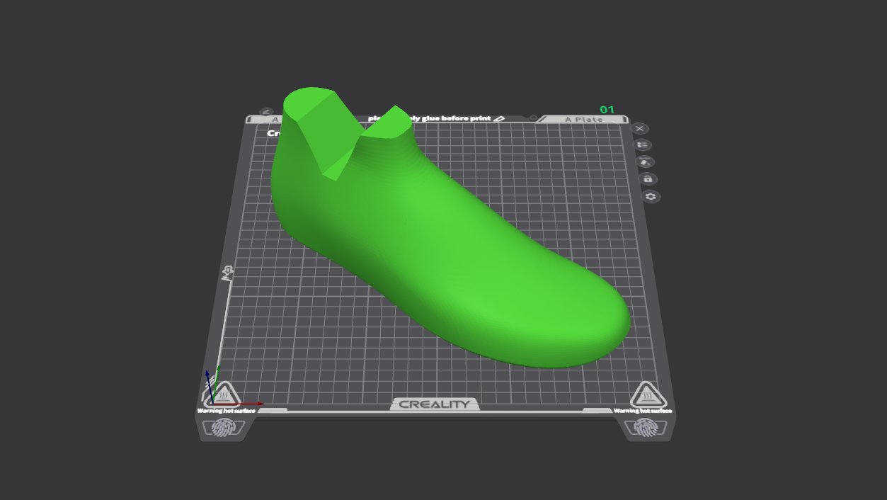 Shoe2